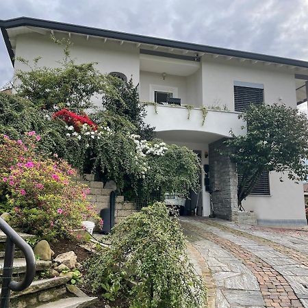 Domus 190 Rooms Varese Dış mekan fotoğraf